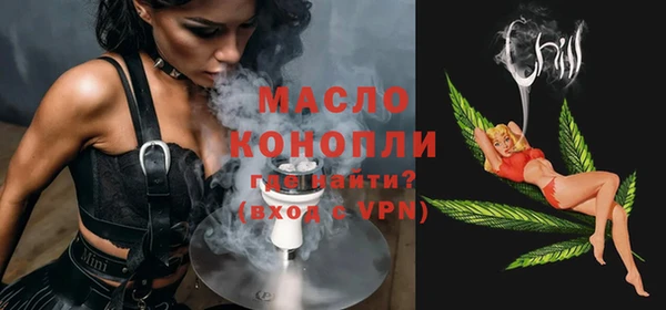 шишки Няндома