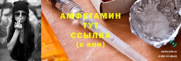 шишки Няндома