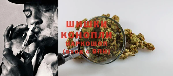 ПСИЛОЦИБИНОВЫЕ ГРИБЫ Нязепетровск