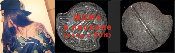 шишки Няндома