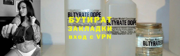шишки Няндома