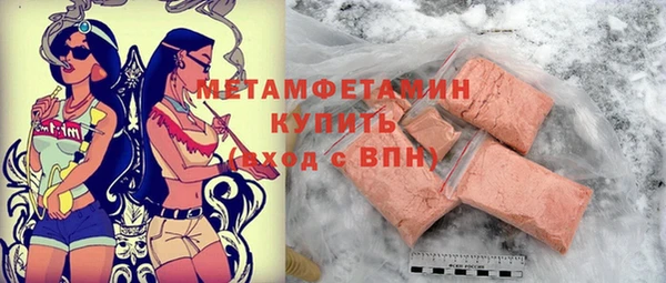 шишки Няндома