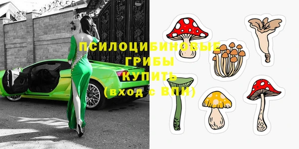 МДПВ Новозыбков