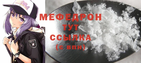 шишки Няндома