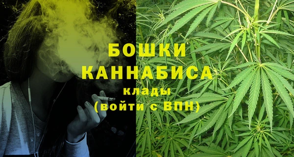 PSILOCYBIN Галич