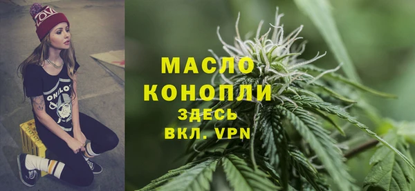 шишки Няндома