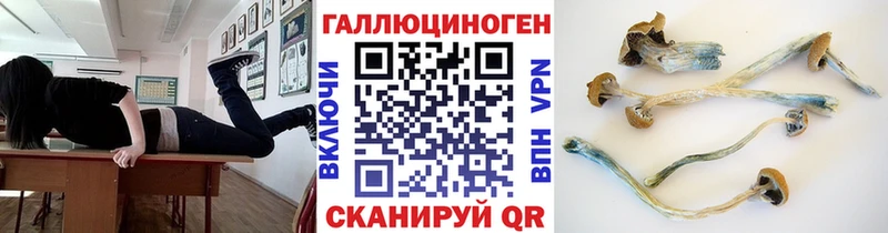 Галлюциногенные грибы Psilocybe  мега ССЫЛКА  Струнино 
